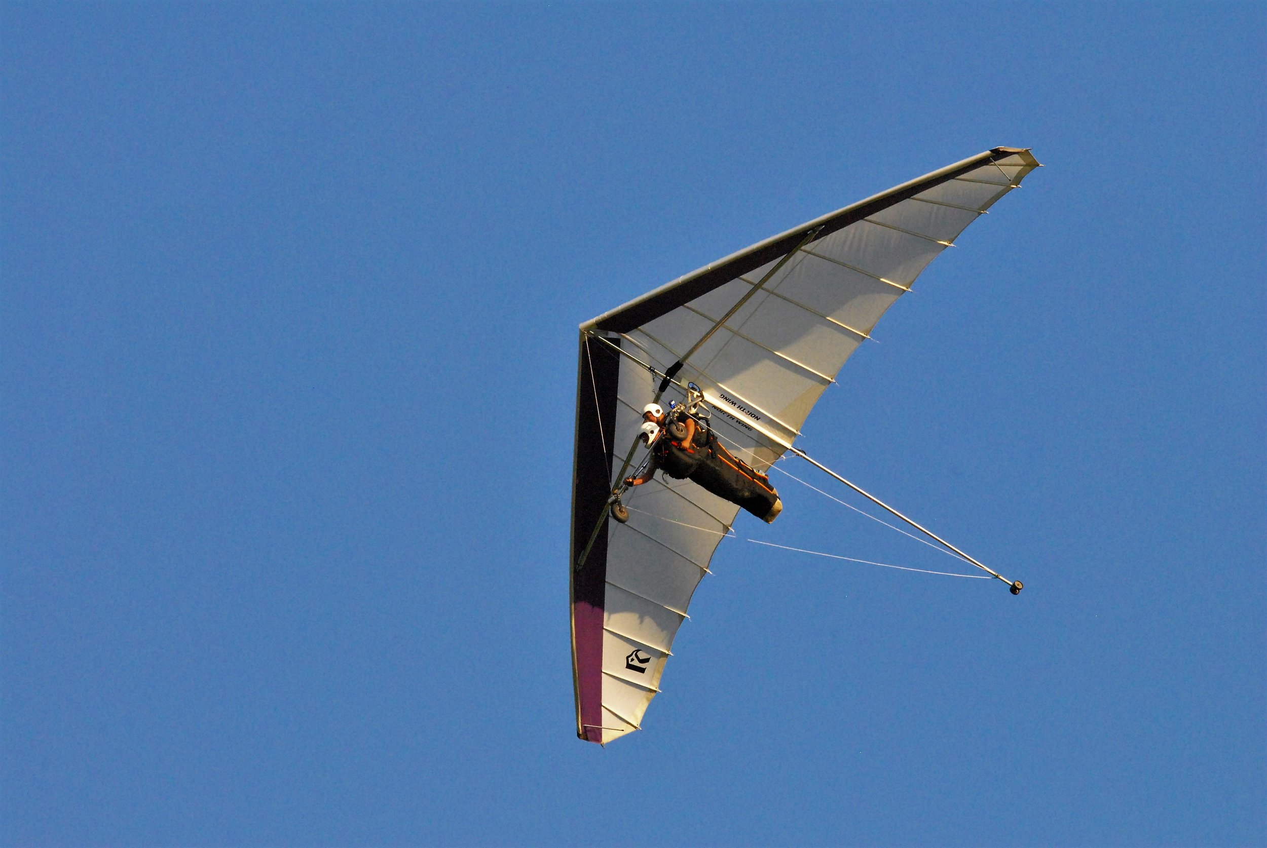 DSC_6613.JPG